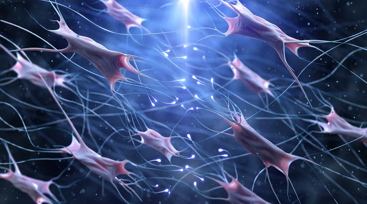 Low-level laser irradiation (InGaAlP-660 nm) increases fibroblast cell proliferation and reduces cell death in a dose-dependent Manner