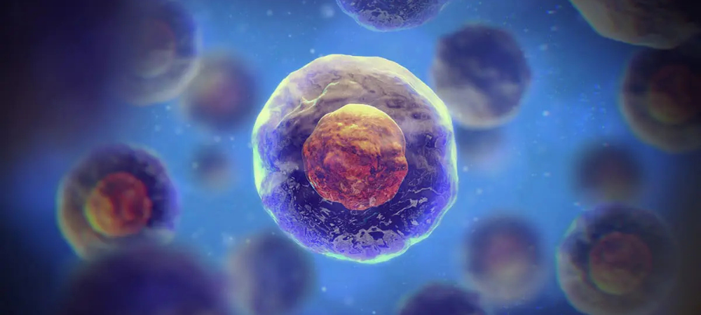 cell