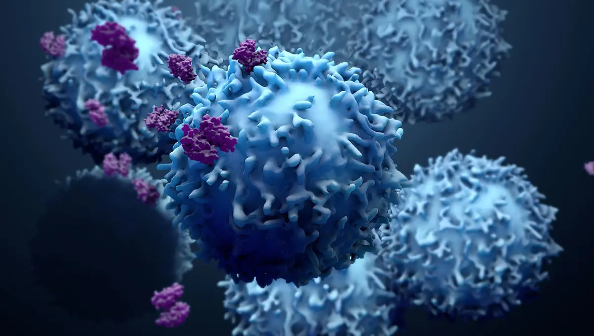 Tumor Safety and Side Effects of Photobiomodulation