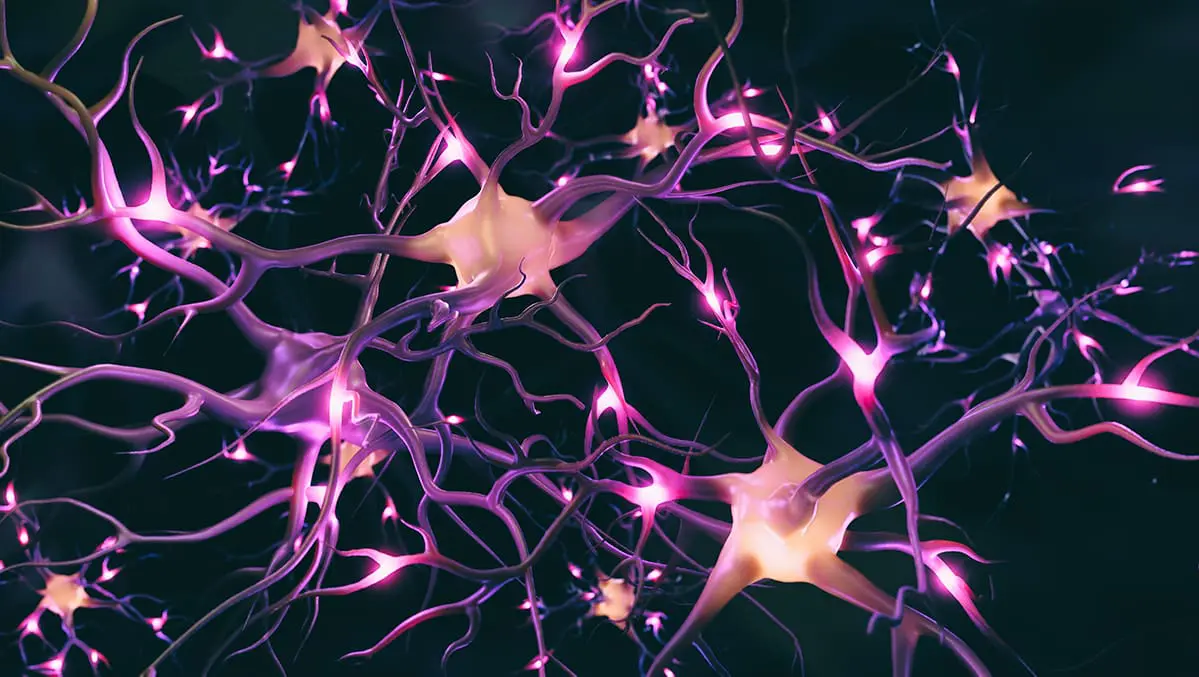 The potential of light therapy for central nervous system injury and disease