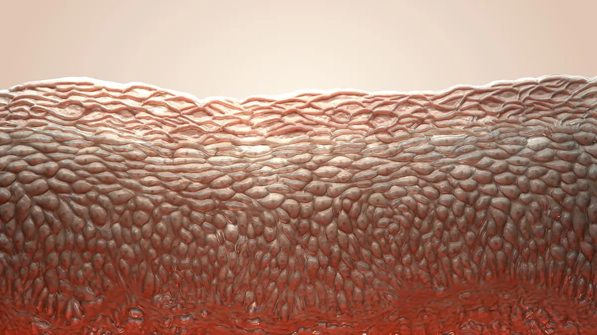 Optical properties of human skin, subcutaneous and mucous tissues in the wavelength range from 400 to 2000 nm